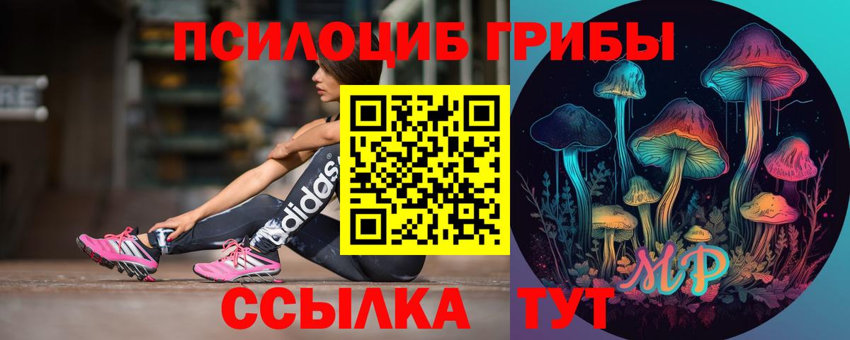 наркота  Псилоцибиновые грибы Cubensis  Саров  Вход с VPN  Псилоцибиновые грибы MAGIC MUSHROOMS 